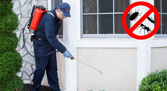 Çal Tahtakurusu İlaçlama böcek ilaçlama ve haşere kontrolü — ilaclama-tr.com